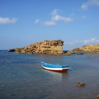 paysage