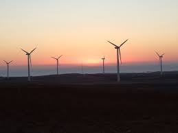 images (6)