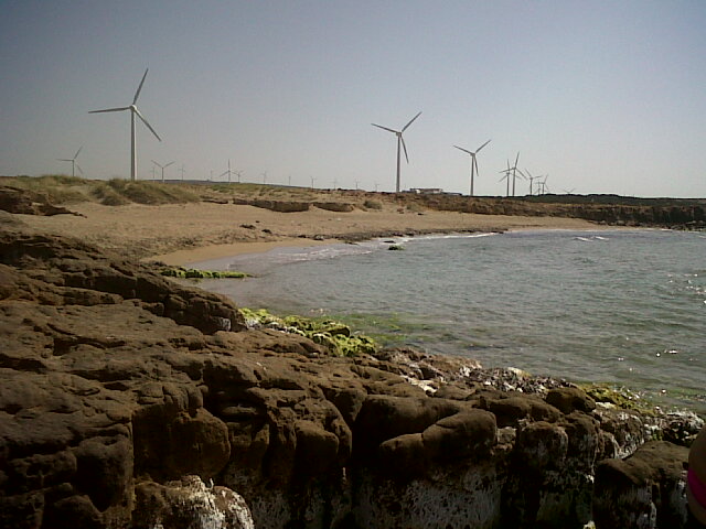 IMG00639-20130620-1503