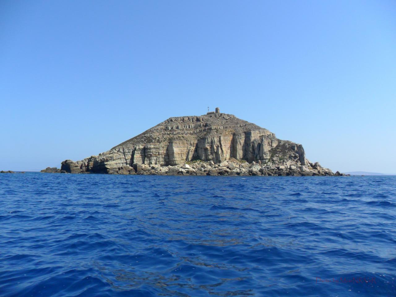SAM_0049