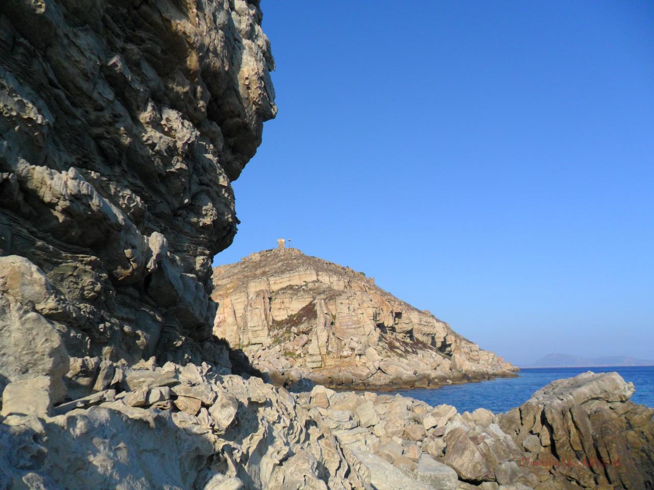 SAM_0081