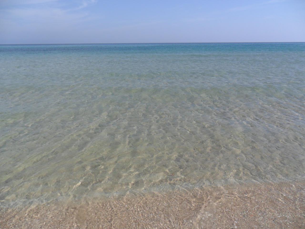 SAM_0308